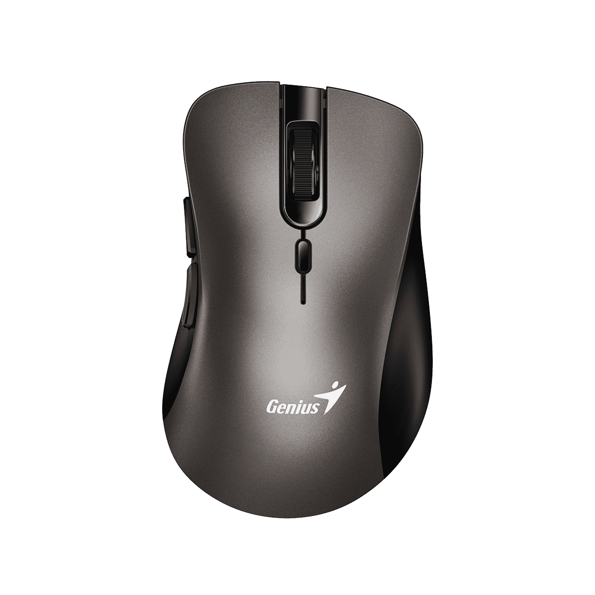 Mouse Genius Ergo 8100S Wireless Iron Gray