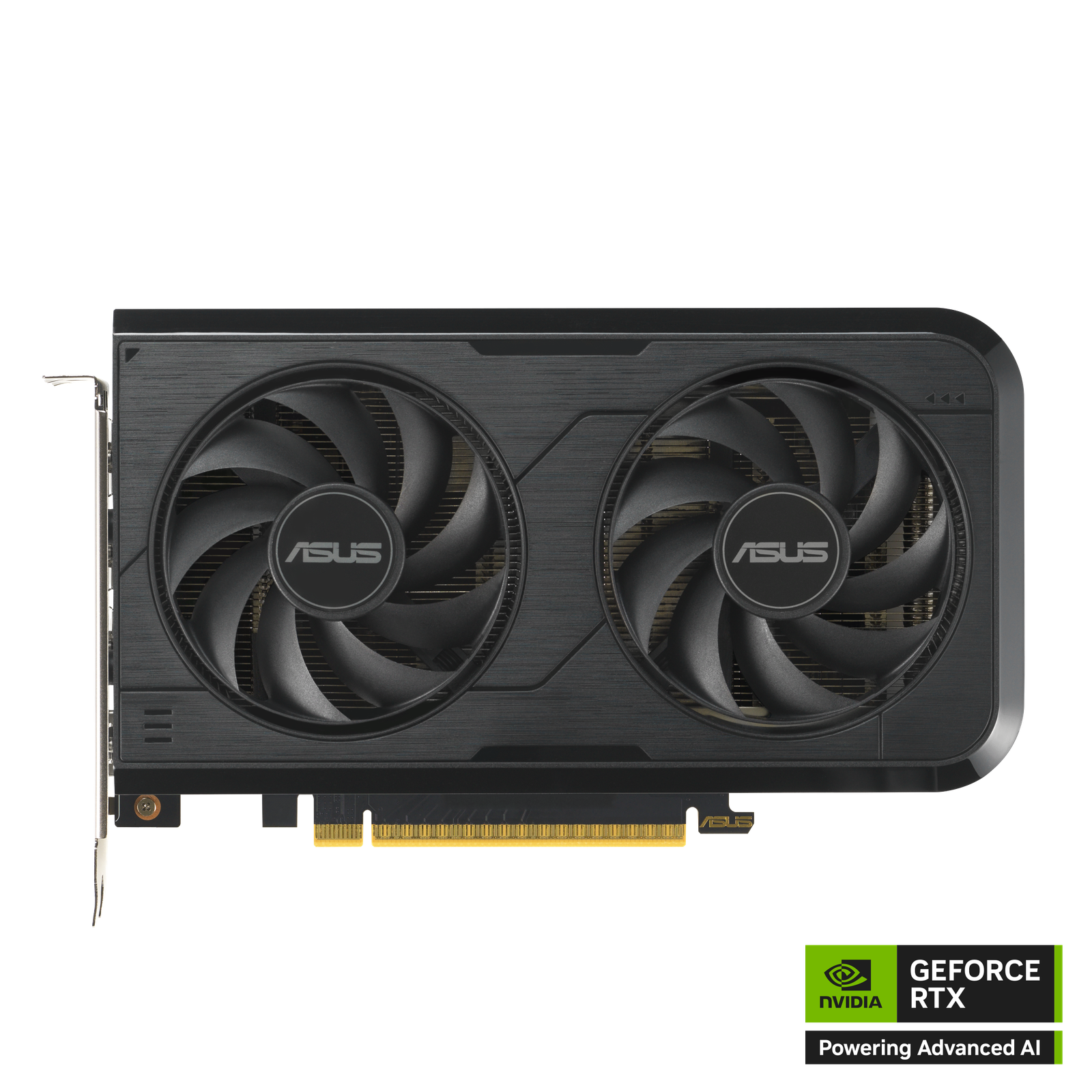 VGA 8GB RTX 5050 Asus Dual OC GDDR6
