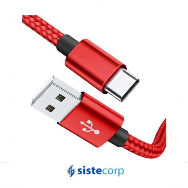 Cable USB Tipo C 3 Intco Mallado 1M